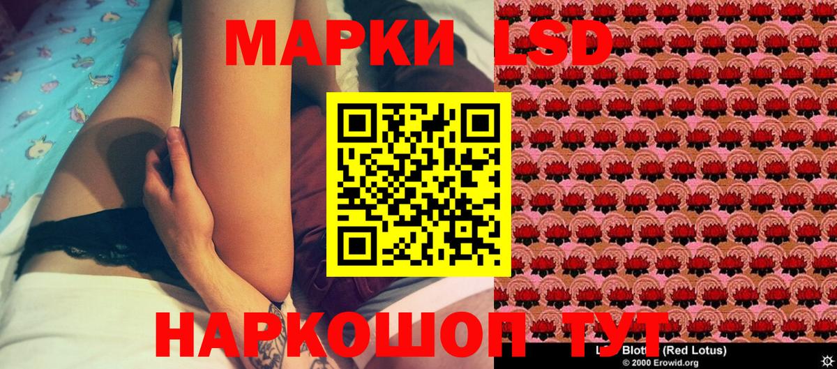 дарнет шоп  Марки N-bome 1,8мг  Вход с VPN  Егорьевск 