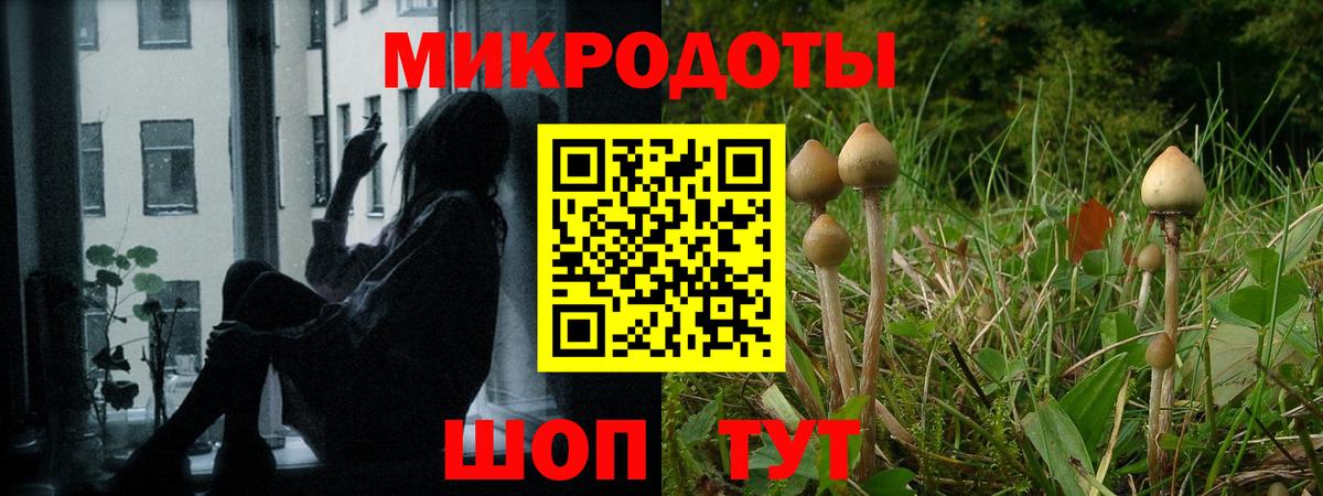 Псилоцибиновые грибы GOLDEN TEACHER  Псилоцибиновые грибы Cubensis  Вход с VPN  Егорьевск 